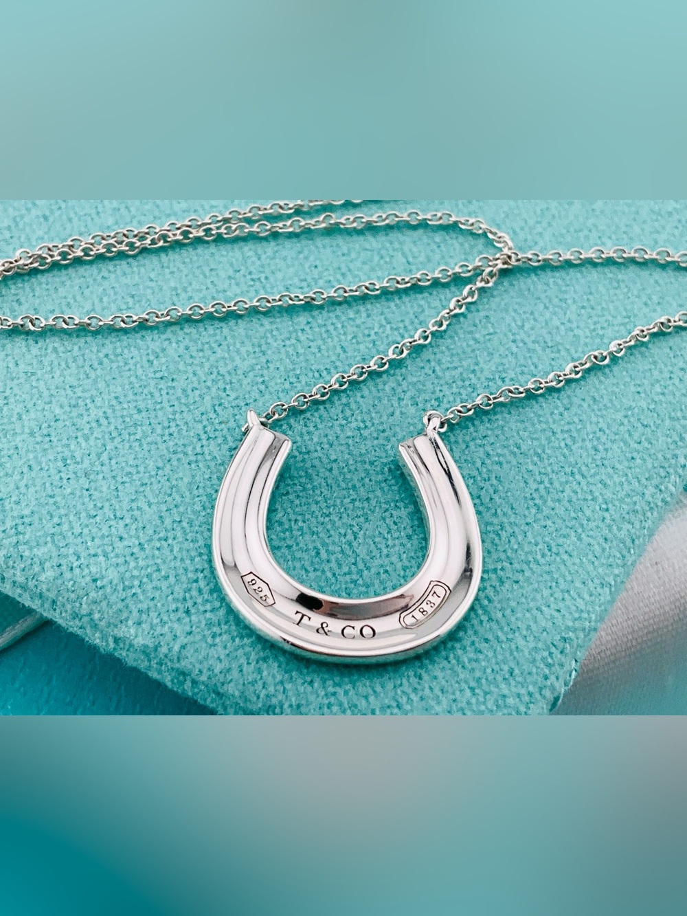 Tiffany 1837 Horseshoe Necklace
